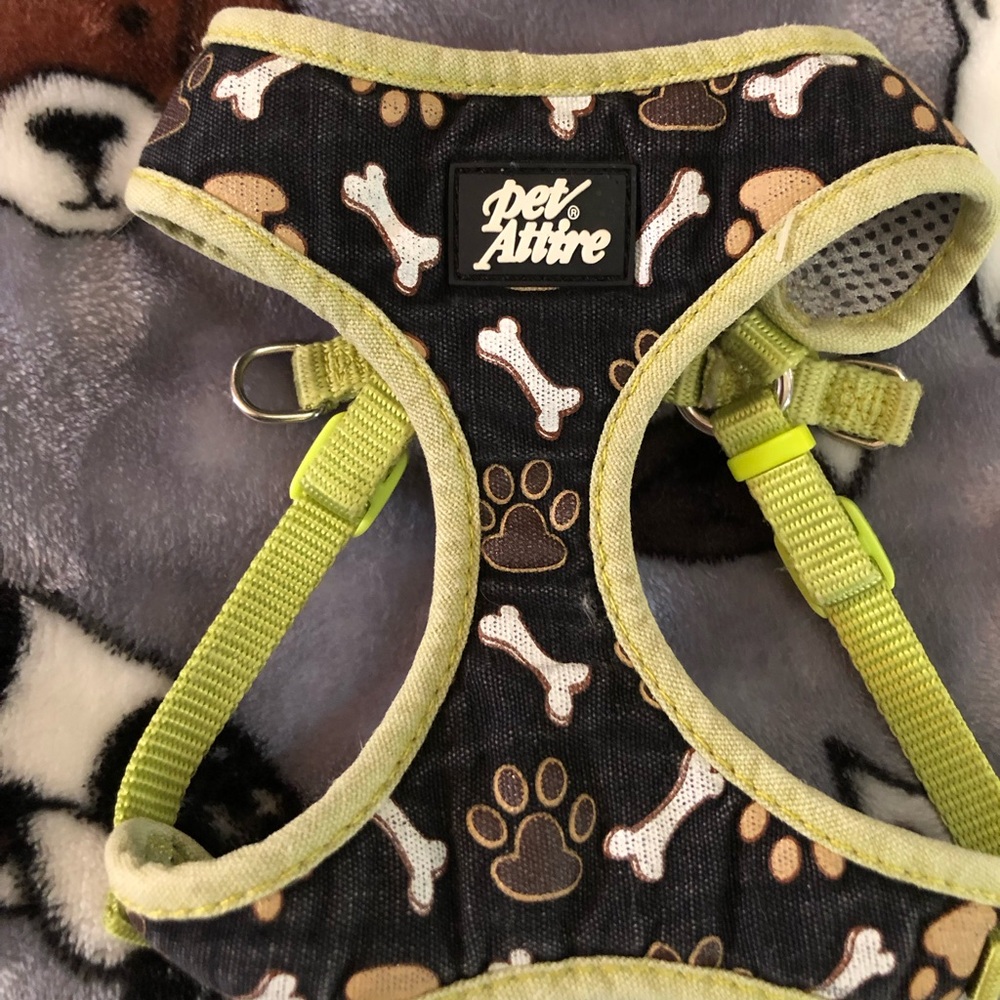 Small lap dog Harness🐶🐾🐾🐾🐾